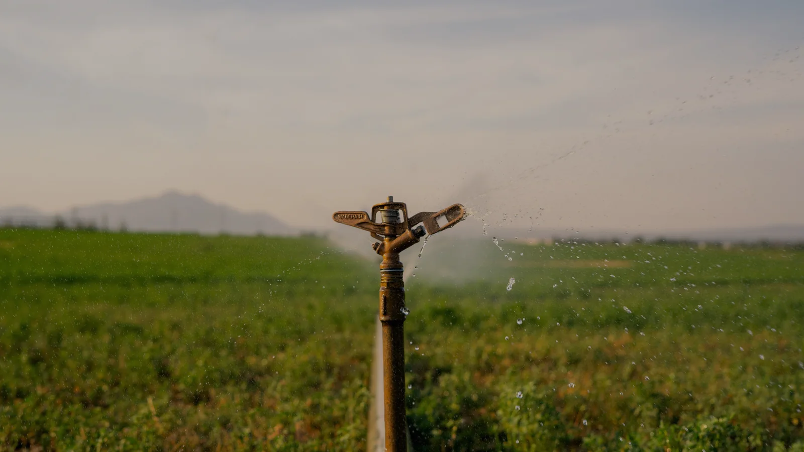 Agriculture & Irrigation